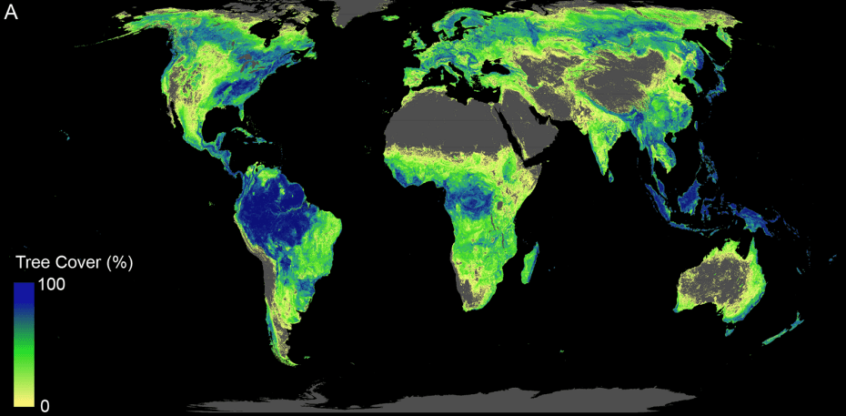 árvores salvam clima