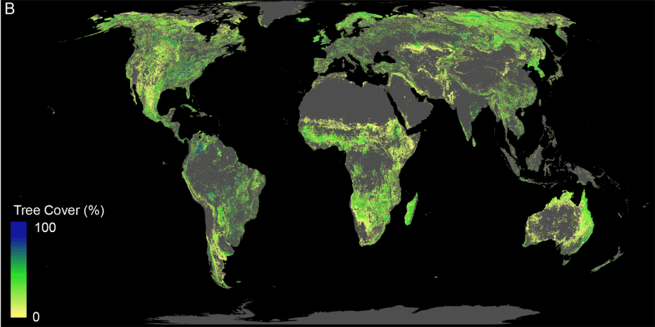 árvores salvam clima