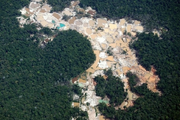 Mércurio Amazonía