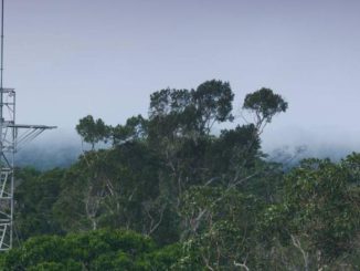 Amazônia