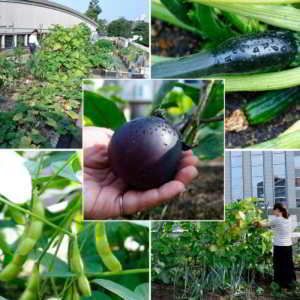 Tecnología de alimentos