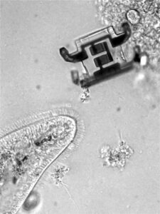 microscopic robots 
