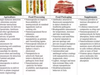 alimentação