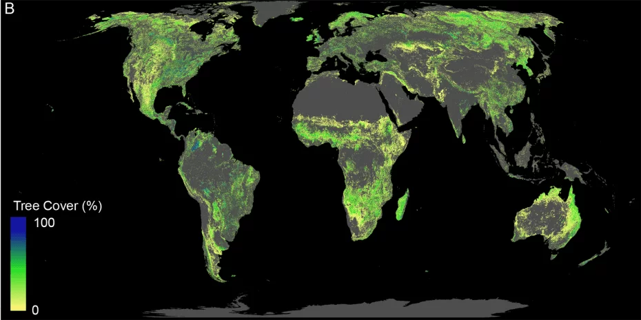árboles salvar clima
