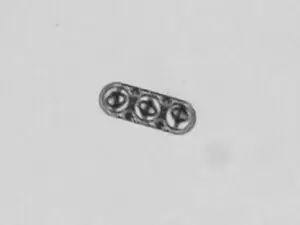Micro-máquinas Robôs