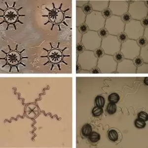 Micro-máquinas Robôs