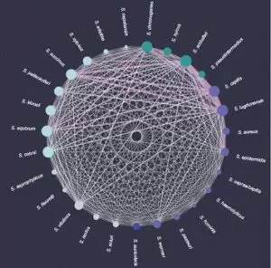 bacterias